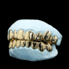 Design Your Own Grillz