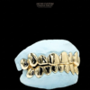Design Your Own Grillz