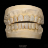 Gemini_Generated_Image_e69ujje69ujje69u_副本 Moissanite Grillz VVS 925 Sterling Silver