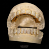 Gemini_Generated_Image_oj7jiuoj7jiuoj7j_副本 Moissanite Grillz VVS 925 Sterling Silver