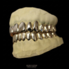 Design Your Own Grillz